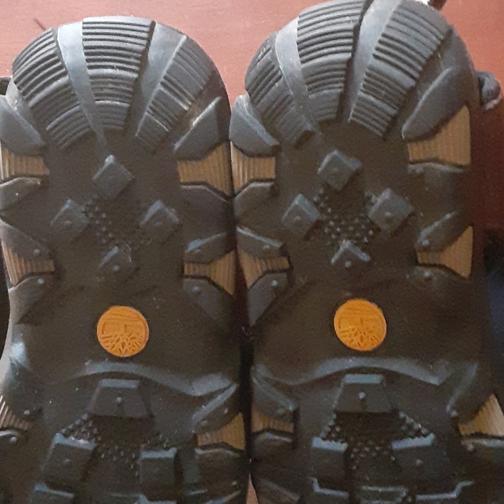 Scandals - Picture 9 of 16